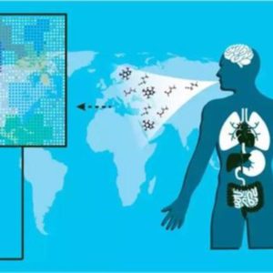 disease Epigenetic clock